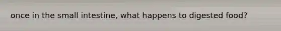 once in the small intestine, what happens to digested food?
