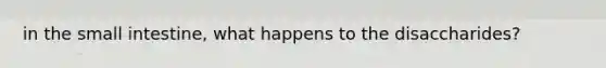 in the small intestine, what happens to the disaccharides?
