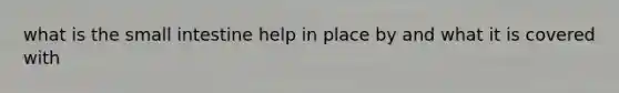 what is <a href='https://www.questionai.com/knowledge/kt623fh5xn-the-small-intestine' class='anchor-knowledge'>the small intestine</a> help in place by and what it is covered with