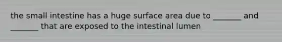 the small intestine has a huge surface area due to _______ and _______ that are exposed to the intestinal lumen