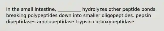 In the small intestine, __________ hydrolyzes other peptide bonds, breaking polypeptides down into smaller oligopeptides. pepsin dipeptidases aminopeptidase trypsin carboxypeptidase