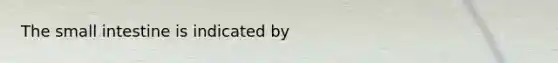 <a href='https://www.questionai.com/knowledge/kt623fh5xn-the-small-intestine' class='anchor-knowledge'>the small intestine</a> is indicated by