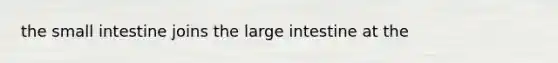 the small intestine joins the large intestine at the