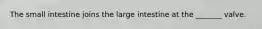 The small intestine joins the large intestine at the _______ valve.