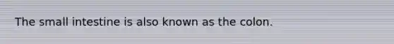 The small intestine is also known as the colon.