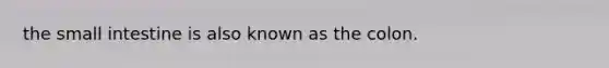 the small intestine is also known as the colon.