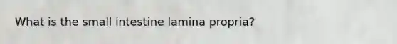 What is the small intestine lamina propria?