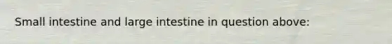 Small intestine and large intestine in question above: