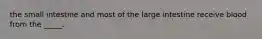 the small intestine and most of the large intestine receive blood from the _____.