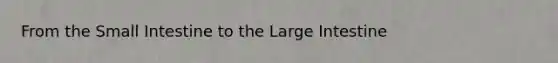 From the Small Intestine to the Large Intestine