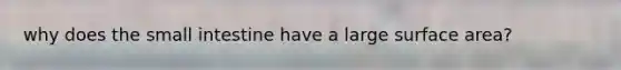why does the small intestine have a large surface area?