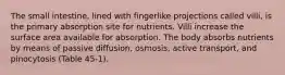 The small intestine, lined with fingerlike projections called villi, is the primary absorption site for nutrients. Villi increase the surface area available for absorption. The body absorbs nutrients by means of passive diffusion, osmosis, active transport, and pinocytosis (Table 45-1).