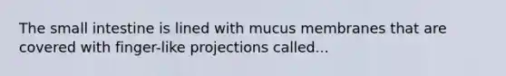 The small intestine is lined with mucus membranes that are covered with finger-like projections called...