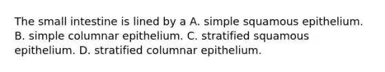 The small intestine is lined by a A. simple squamous epithelium. B. simple columnar epithelium. C. stratified squamous epithelium. D. stratified columnar epithelium.