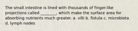 The small intestine is lined with thousands of finger-like projections called ________, which make the surface area for absorbing nutrients much greater. a. villi b. fistula c. microbiota d. lymph nodes