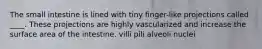 The small intestine is lined with tiny finger-like projections called ____. These projections are highly vascularized and increase the surface area of the intestine. villi pili alveoli nuclei