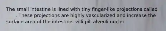 <a href='https://www.questionai.com/knowledge/kt623fh5xn-the-small-intestine' class='anchor-knowledge'>the small intestine</a> is lined with tiny finger-like projections called ____. These projections are highly vascularized and increase the <a href='https://www.questionai.com/knowledge/kEtsSAPENL-surface-area' class='anchor-knowledge'>surface area</a> of the intestine. villi pili alveoli nuclei