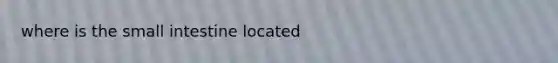 where is <a href='https://www.questionai.com/knowledge/kt623fh5xn-the-small-intestine' class='anchor-knowledge'>the small intestine</a> located