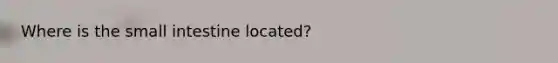 Where is the small intestine located?