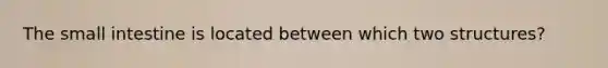 The small intestine is located between which two structures?