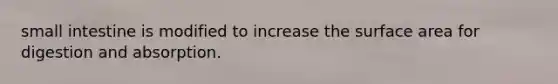 small intestine is modified to increase the surface area for digestion and absorption.