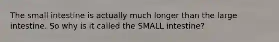 The small intestine is actually much longer than the large intestine. So why is it called the SMALL intestine?