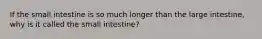 If the small intestine is so much longer than the large intestine, why is it called the small intestine?