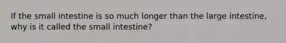 If the small intestine is so much longer than the large intestine, why is it called the small intestine?