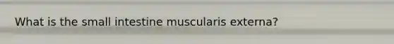 What is the small intestine muscularis externa?