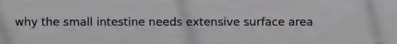 why the small intestine needs extensive surface area