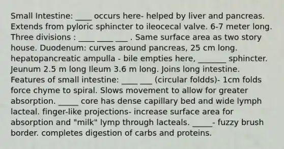 Small Intestine: ____ occurs here- helped by liver and pancreas. Extends from pyloric sphincter to ileocecal valve. 6-7 meter long. Three divisions : ____ ____ ___ . Same surface area as two story house. Duodenum: curves around pancreas, 25 cm long. hepatopancreatic ampulla - bile empties here, _______ sphincter. Jeunum 2.5 m long Ileum 3.6 m long. Joins long intestine. Features of small intestine: ____ ___ (circular foldds)- 1cm folds force chyme to spiral. Slows movement to allow for greater absorption. _____ core has dense capillary bed and wide lymph lacteal. finger-like projections- increase surface area for absorption and "milk" lymp through lacteals. _____- fuzzy brush border. completes digestion of carbs and proteins.