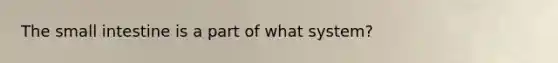 The small intestine is a part of what system?