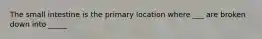 The small intestine is the primary location where ___ are broken down into _____