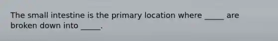 The small intestine is the primary location where _____ are broken down into _____.