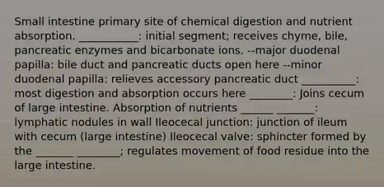 Small intestine primary site of chemical digestion and nutrient absorption. ___________: initial segment; receives chyme, bile, pancreatic enzymes and bicarbonate ions. --major duodenal papilla: bile duct and pancreatic ducts open here --minor duodenal papilla: relieves accessory pancreatic duct __________: most digestion and absorption occurs here ________: Joins cecum of large intestine. Absorption of nutrients ______ _______: lymphatic nodules in wall Ileocecal junction: junction of ileum with cecum (large intestine) Ileocecal valve: sphincter formed by the _______ ________; regulates movement of food residue into the large intestine.