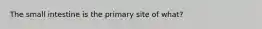 The small intestine is the primary site of what?