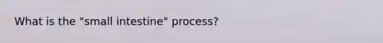 What is the "small intestine" process?