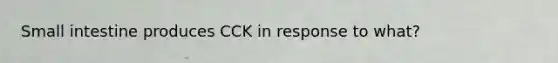 Small intestine produces CCK in response to what?