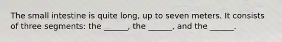 The small intestine is quite long, up to seven meters. It consists of three segments: the ______, the ______, and the ______.