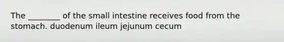 The ________ of the small intestine receives food from the stomach. duodenum ileum jejunum cecum