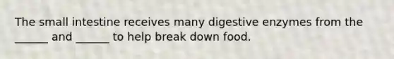 The small intestine receives many digestive enzymes from the ______ and ______ to help break down food.