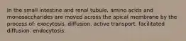 In the small intestine and renal tubule, amino acids and monosaccharides are moved across the apical membrane by the process of: exocytosis. diffusion. active transport. facilitated diffusion. endocytosis.