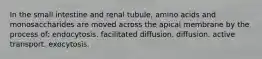 In the small intestine and renal tubule, amino acids and monosaccharides are moved across the apical membrane by the process of: endocytosis. facilitated diffusion. diffusion. active transport. exocytosis.