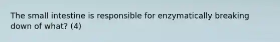 The small intestine is responsible for enzymatically breaking down of what? (4)