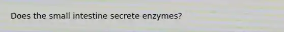 Does the small intestine secrete enzymes?