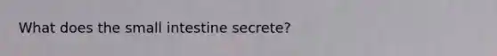 What does the small intestine secrete?