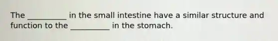 The __________ in the small intestine have a similar structure and function to the __________ in the stomach.