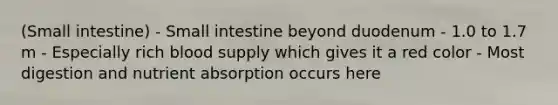 (Small intestine) - Small intestine beyond duodenum - 1.0 to 1.7 m - Especially rich blood supply which gives it a red color - Most digestion and nutrient absorption occurs here