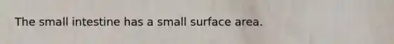 The small intestine has a small surface area.