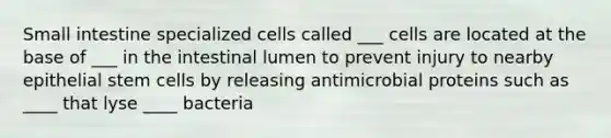 Small intestine specialized cells called ___ cells are located at the base of ___ in the intestinal lumen to prevent injury to nearby epithelial stem cells by releasing antimicrobial proteins such as ____ that lyse ____ bacteria